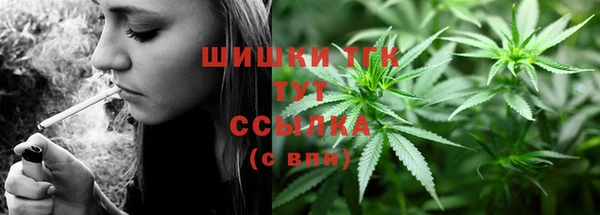 первитин Михайлов