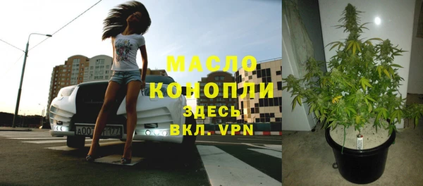 первитин Михайлов