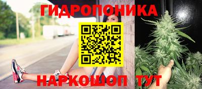 хмурый Заводоуковск