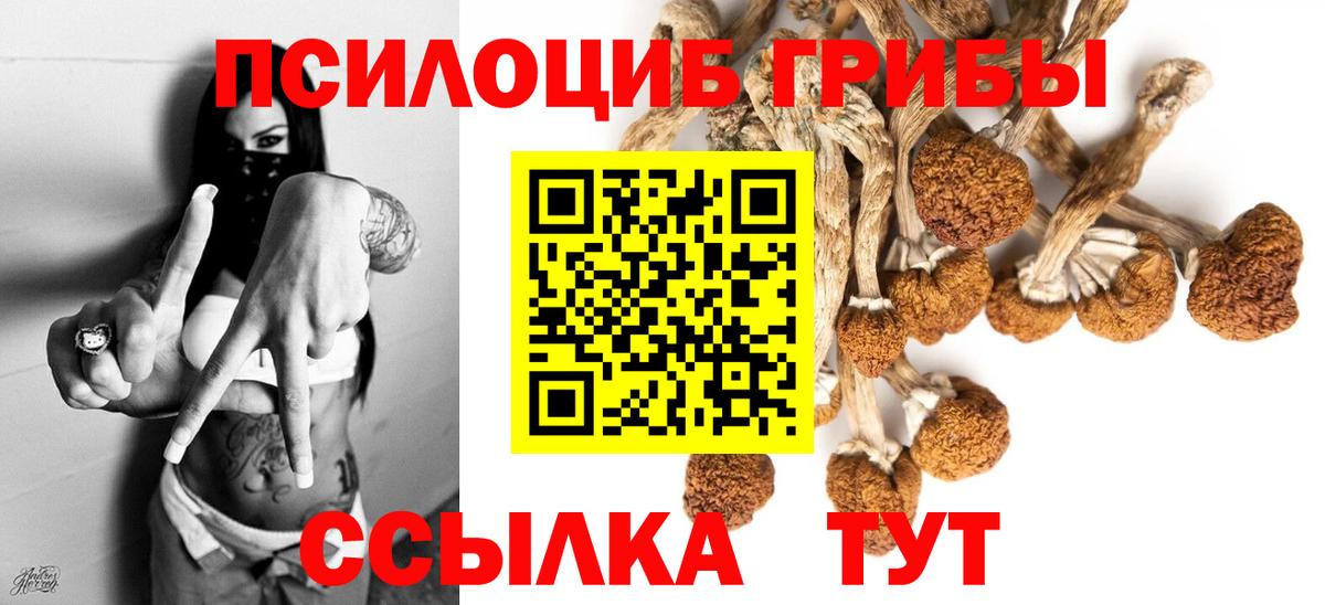 Каннабис  Кокаин  МЕТАМФЕТАМИН  Купить  Киржач  Меф  Меф   Вход с VPN  ГАШ  APVP СК  