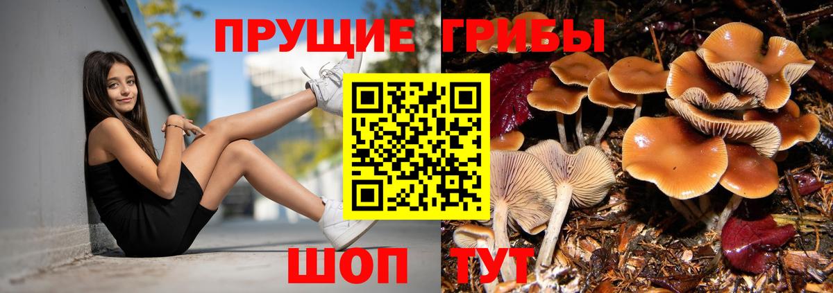 Псилоцибиновые грибы прущие грибы Киржач