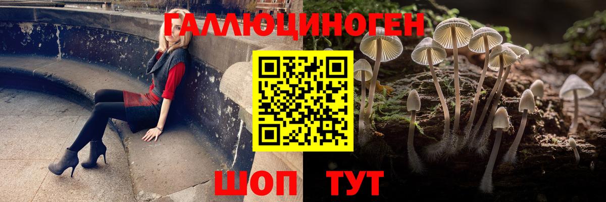 как найти закладки  Киржач  Галлюциногенные грибы Psilocybine cubensis 