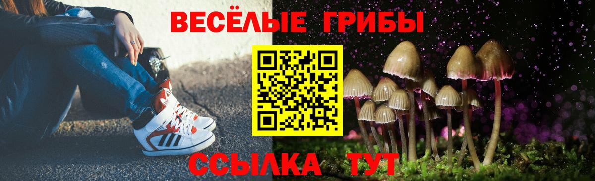 Галлюциногенные грибы MAGIC MUSHROOMS Киржач