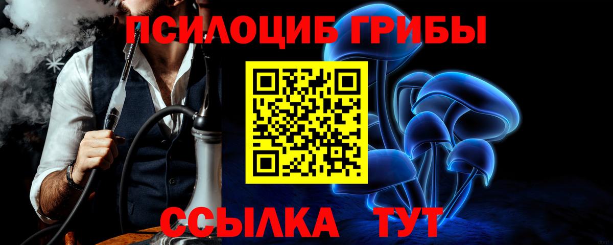 Киржач  Галлюциногенные грибы прущие грибы  Вход с VPN 
