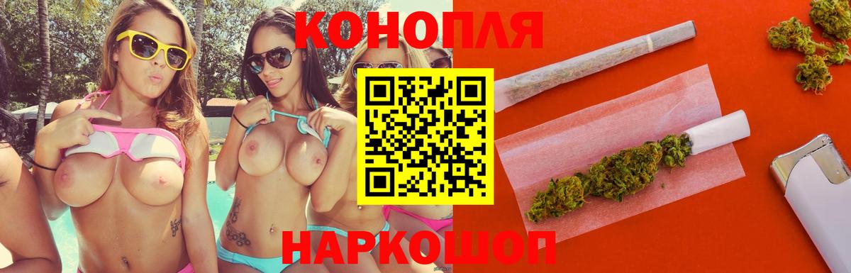 Марихуана Ganja  Каннабис планчик  Киржач  МАРИХУАНА OG Kush 